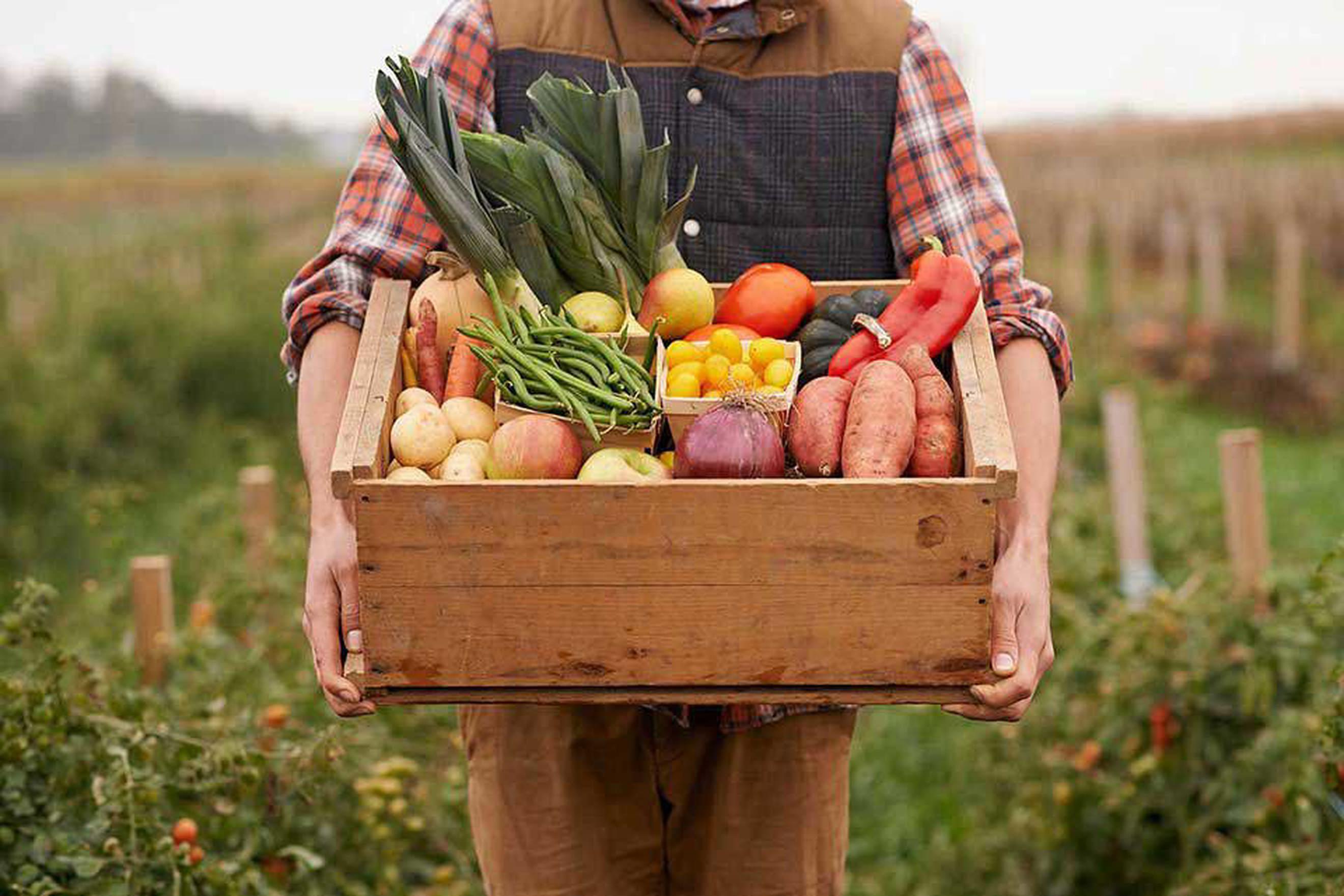 Seasonal Veg Box